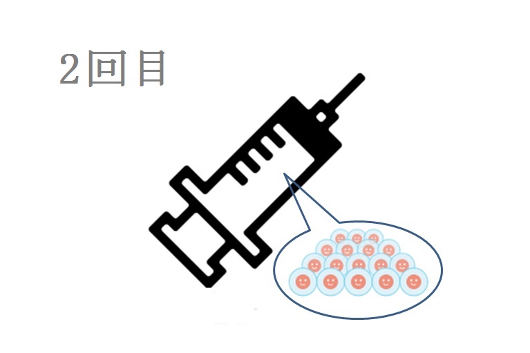肌細胞移植（2回目）